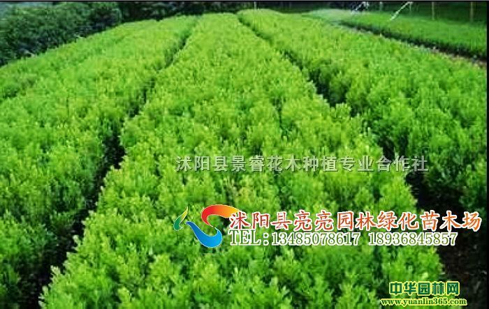 F(xin)؛߶20-100ڷ10-120С~S