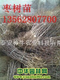 硢78ϗ