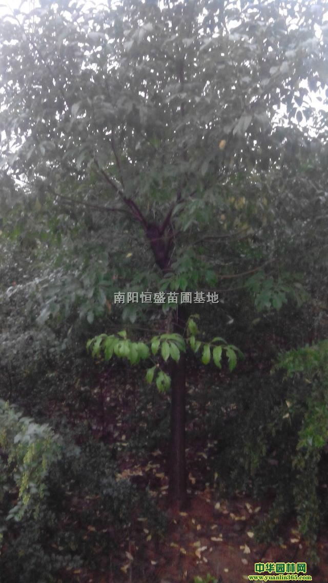 zľ