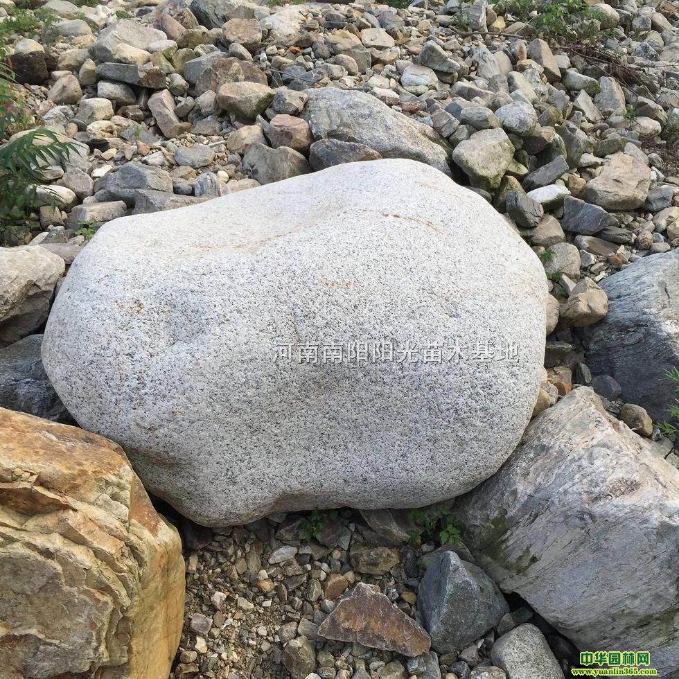 Zʯ
