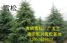ѩɃr񣬏Vmr