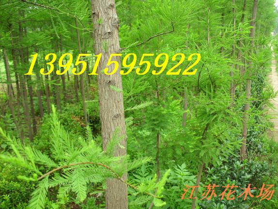 y#160ˮɼ#160ɼ#160#160ͩ#160ͩ#160#160ϚgNҎ(gu)x