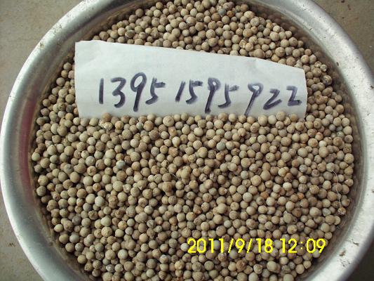NәΘNӼtηN#160ΘG