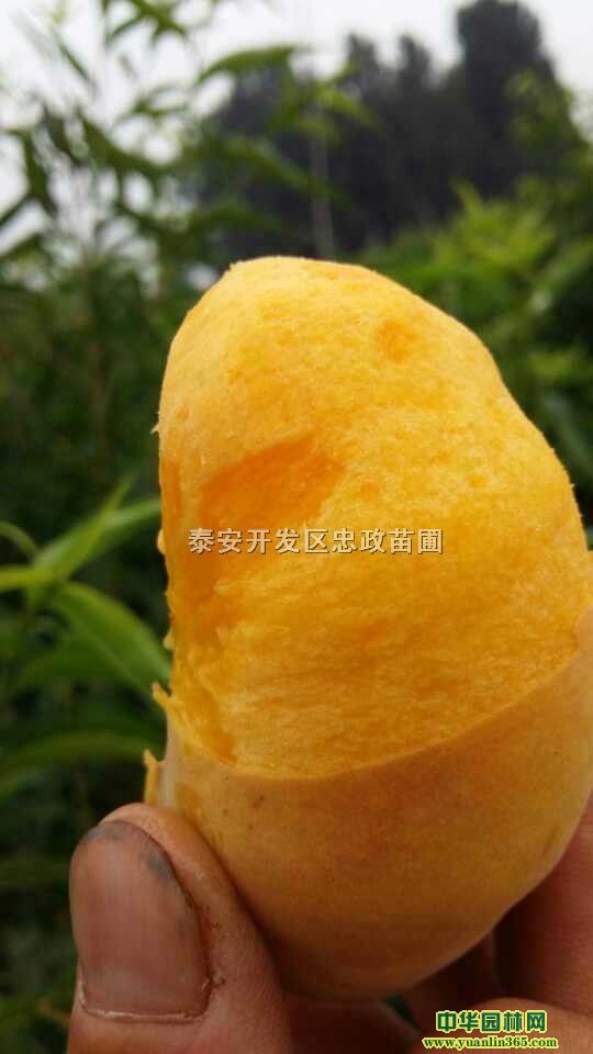 \CSҘ硢\CSҘҘ