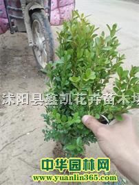 SN20ֹڷSꖻؽr(ji)