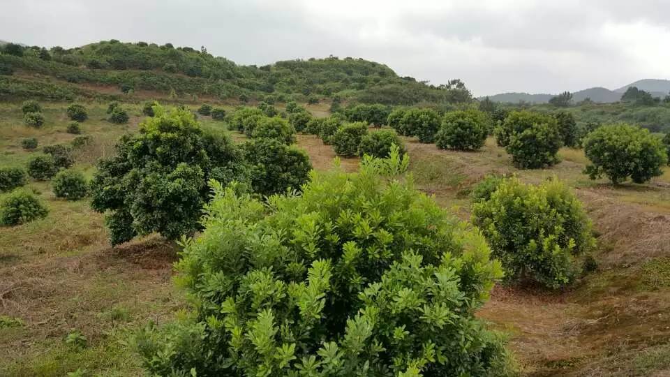2.5ח÷P3502003ח÷