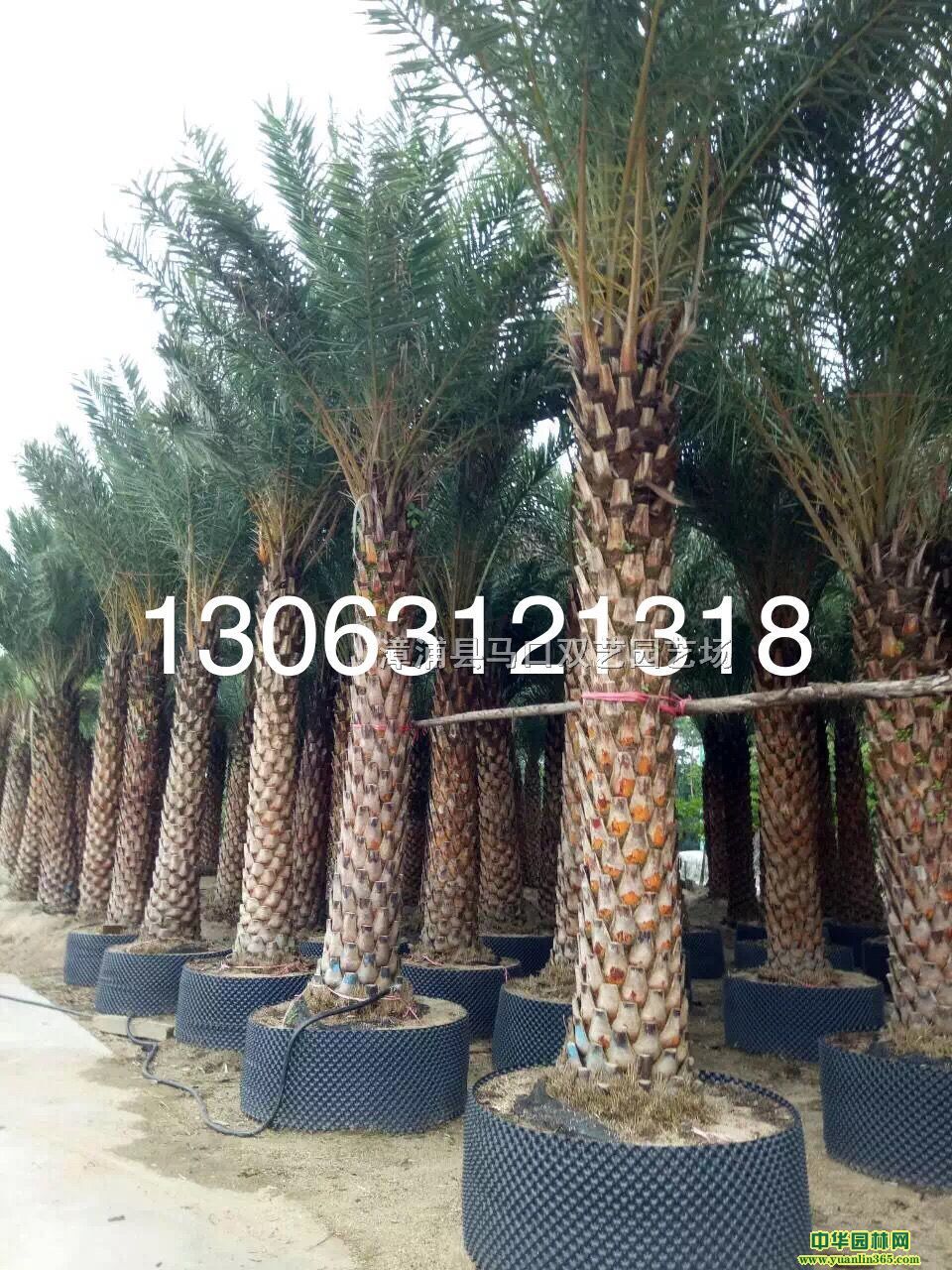 Ж|ءU35Ж|l(f)r900