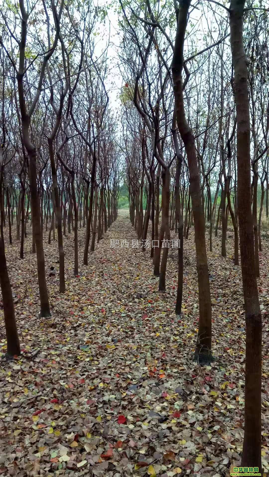̓r(ji)68֡10֞