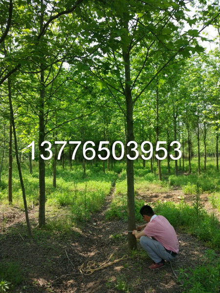 㡢rX