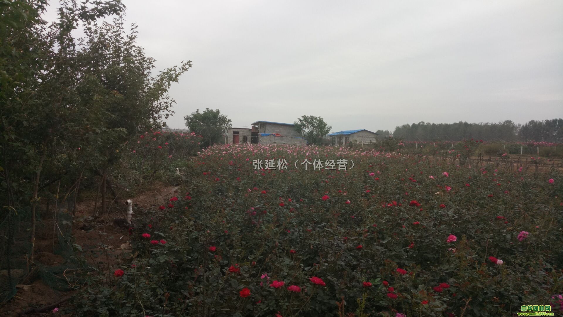 軨Ǥ¼SA1.4f1.2Ԫÿ