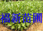 骴(yu)|(zh)