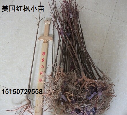 (gu)t2С
