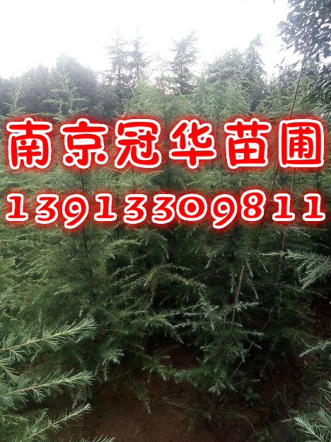 25ѩ.27ѩ.34ѩ.36ѩ.45ѩ