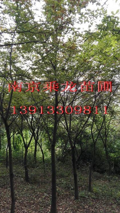2֙Θ3֙Θ4֙Θ5֙Θ6֙Θ7֙Θ