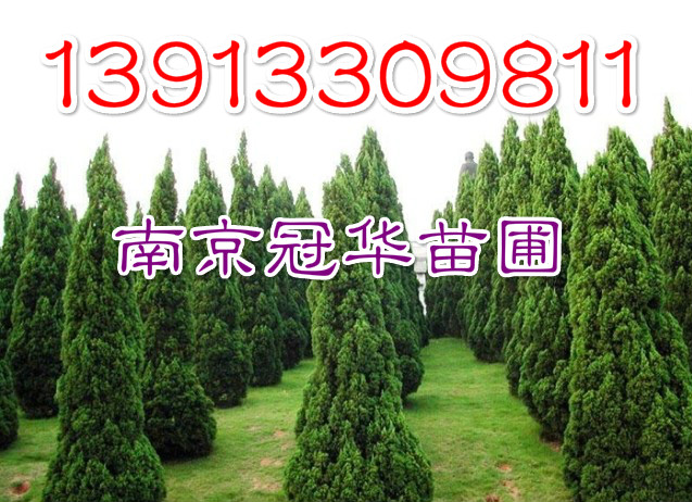 ߶123خa(chn)سֱN