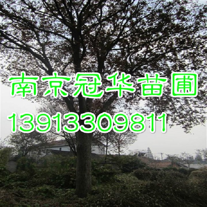 20֙Θr(ji)