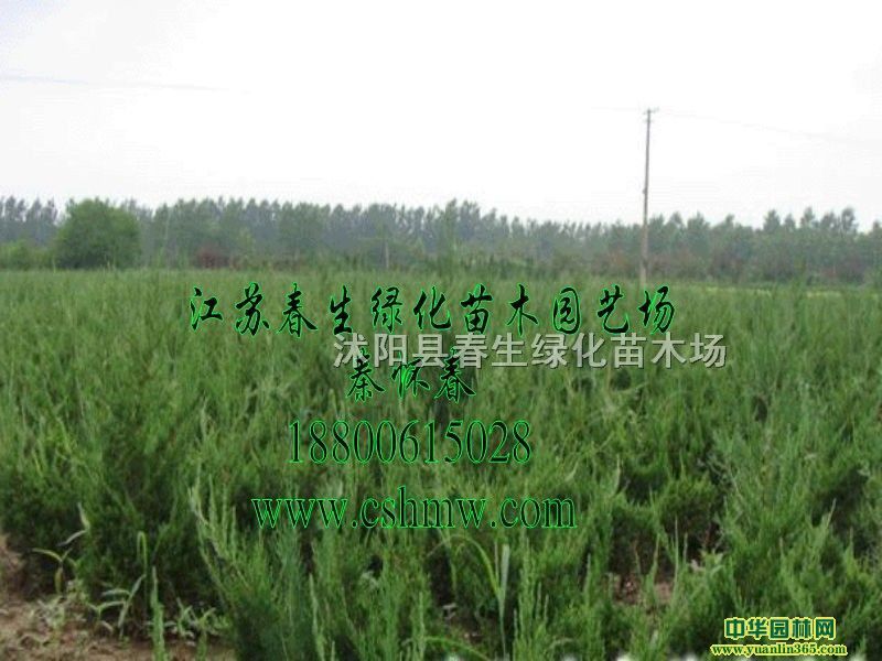 عСɫKؘ
