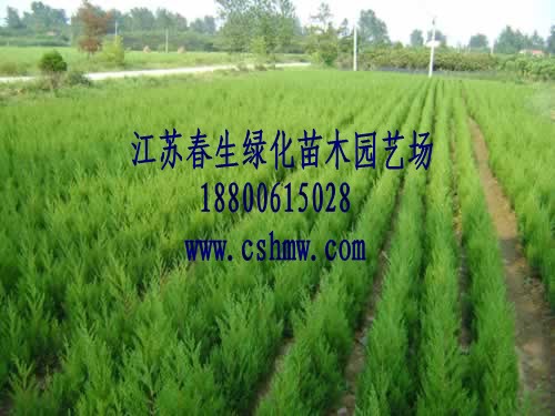 uҎ(gu)硢uعuСľ