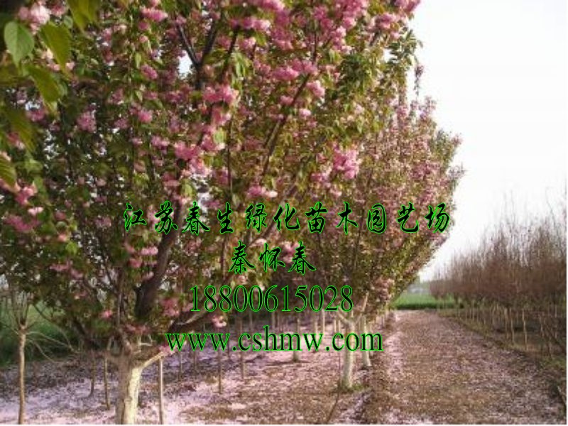ѻ2-15֡ѻѻ硢ձ