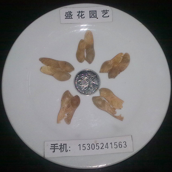 ʷNǗN