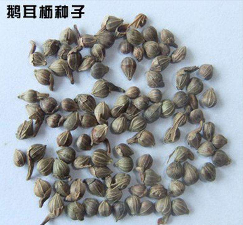 ZNǧܷN