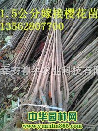 ѻ硢23֙ѻ1֙ѻ(sh)