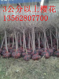 ѻ(sh)123֙ѻ(sh)