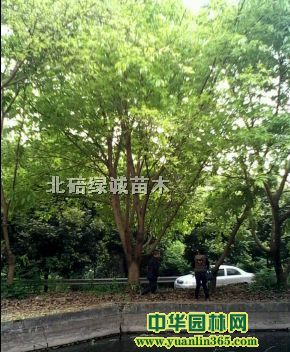 Sǘ(sh)40