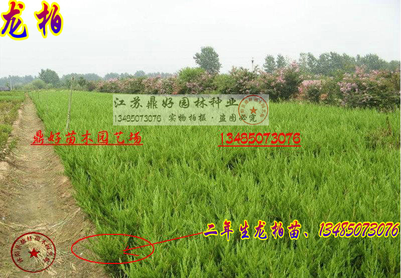 硢60CM30CM