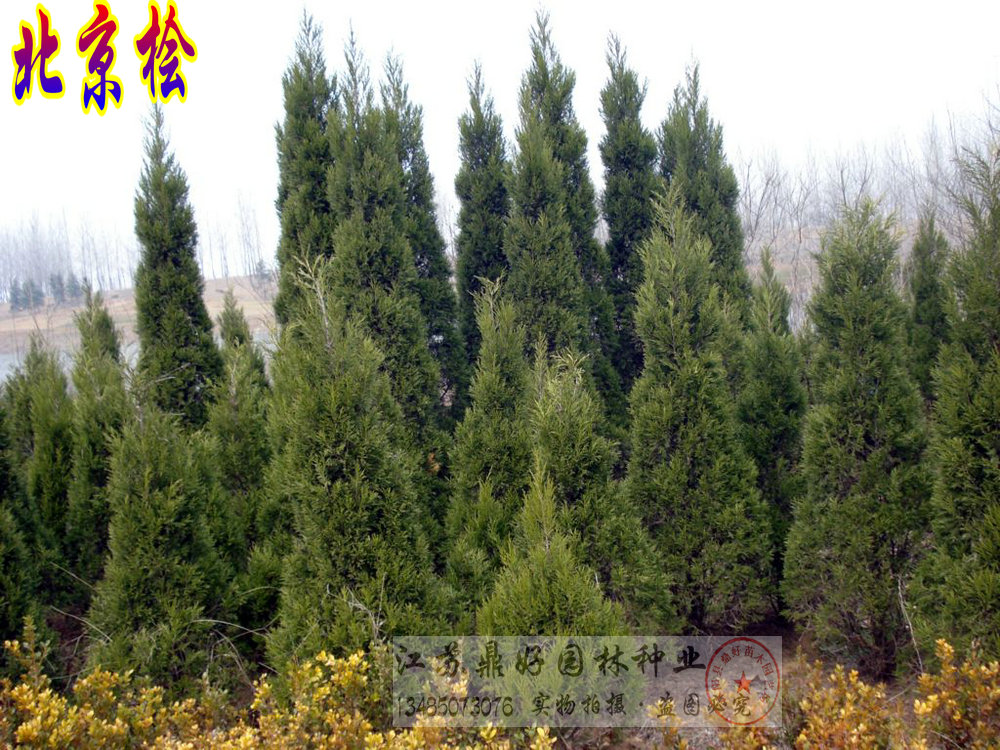 uu200CM