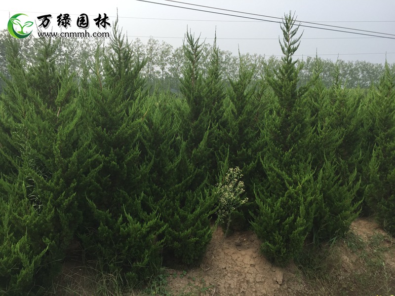 1-8mֱڸ10-200cmֱֱN(xio)