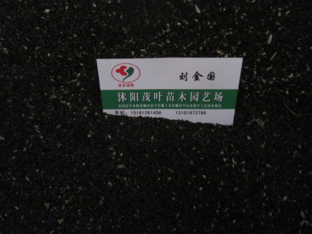 uڻ