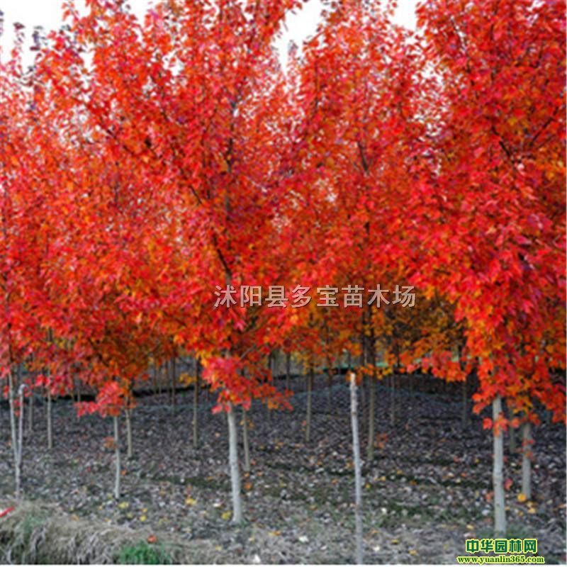 201710(gu)tr(ji)7(gu)t(bo)r(ji)خa(chn)؈DƬ