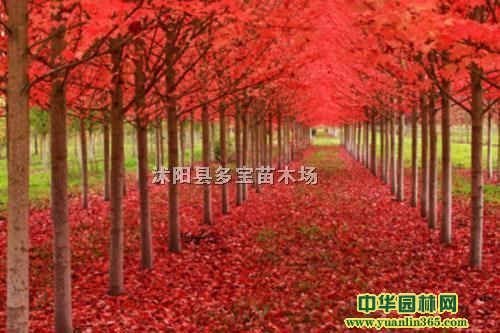 20174(gu)tr(ji)4(gu)t(bo)r(ji)خa(chn)؈DƬ
