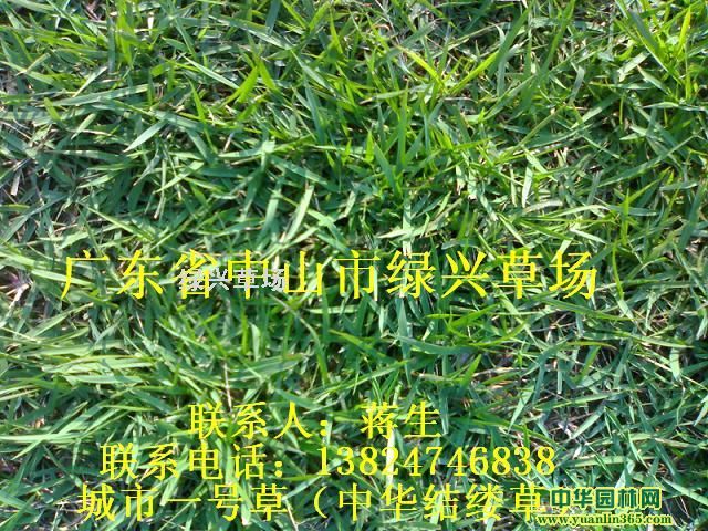һ̖/AY(ji)|