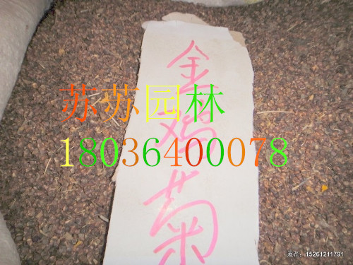uշN