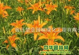 ʯ[mݡt~޸ݱֲ