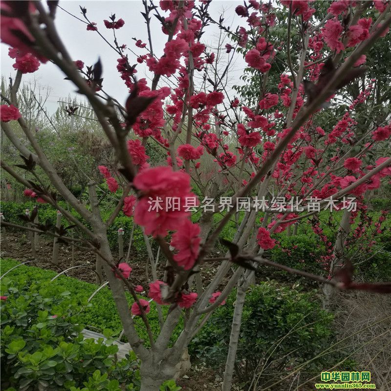 ~һ؄e~ҬF(xin)璁