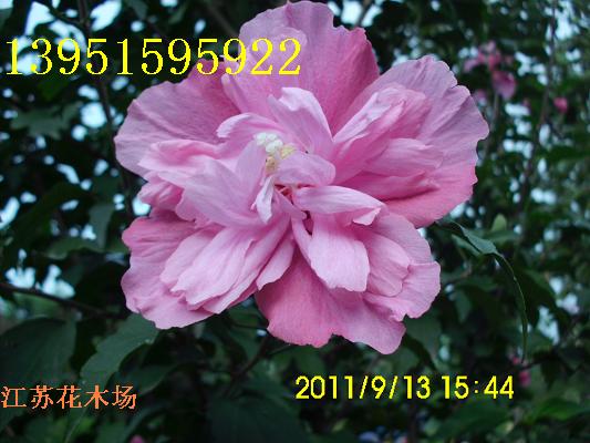 ľȻҲПo(w)F Kľ(chng) С]