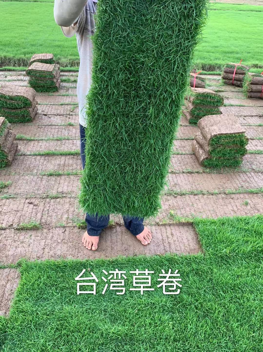 _ƺR
