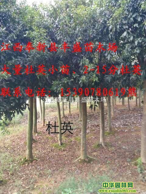 8ֶӢ10