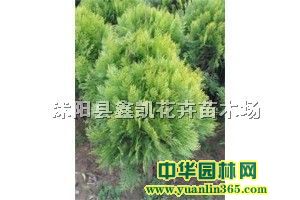 K607080ֹڷ|(zh)