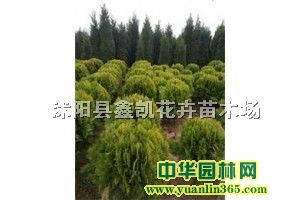 K50-80ֹڷF(xin)b܇
