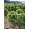 K4050ֹڷ(yng)