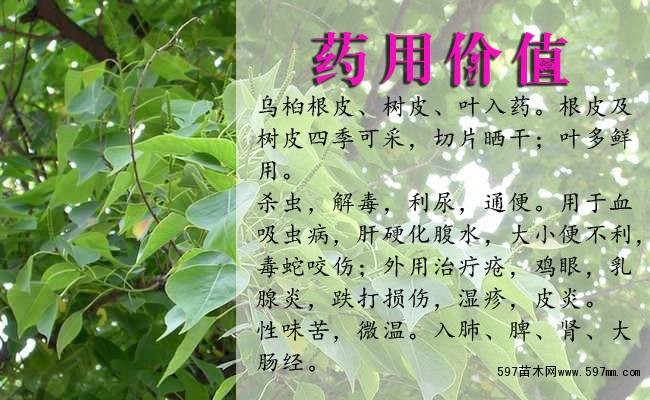 Сl(f)һС硢Сr