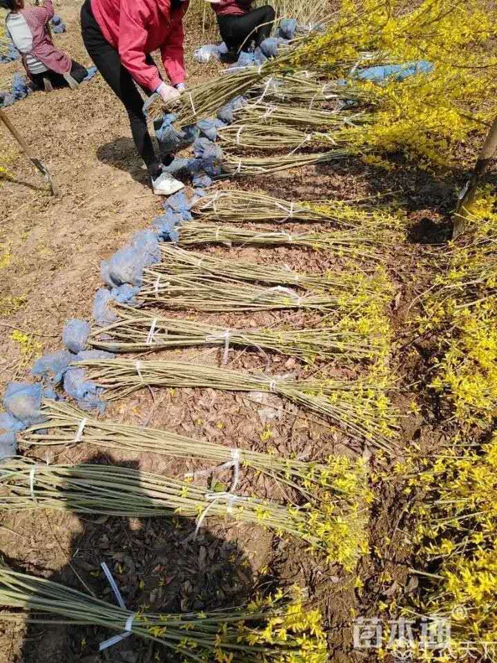 80-150ABN