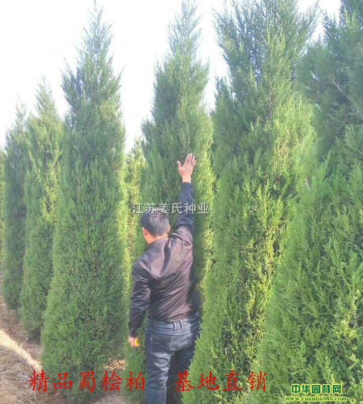 u̰ذذءu
