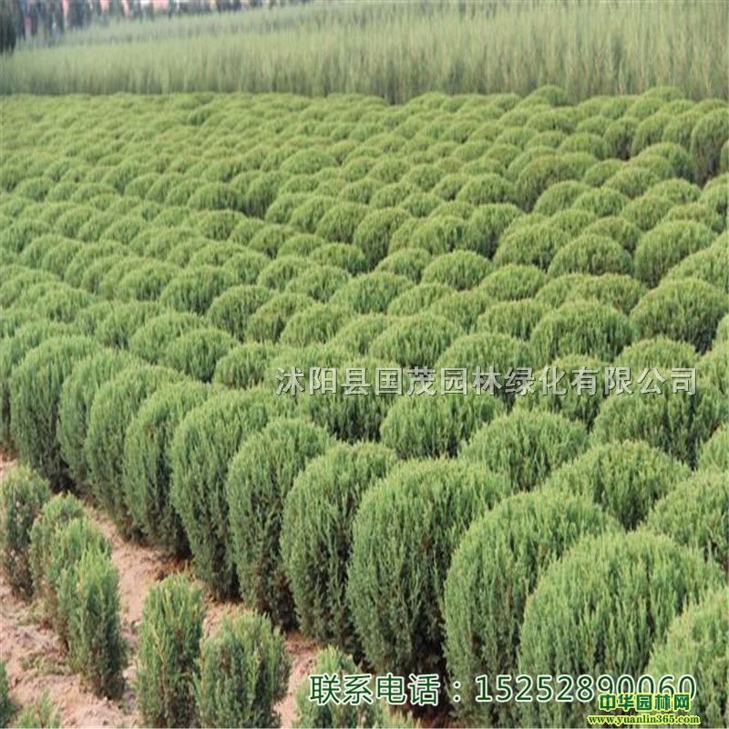 uAش̰ؾGС繤̾Gľذl(f)؛F(xin)xF(xin)؛