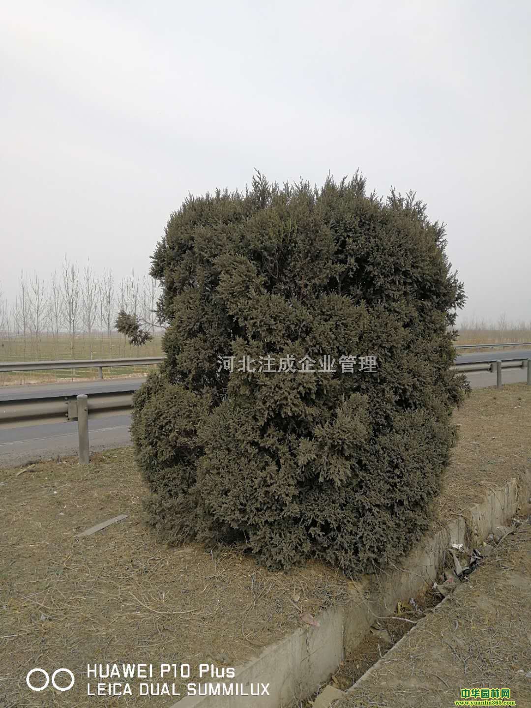 uس3ֱ10փr(ji)