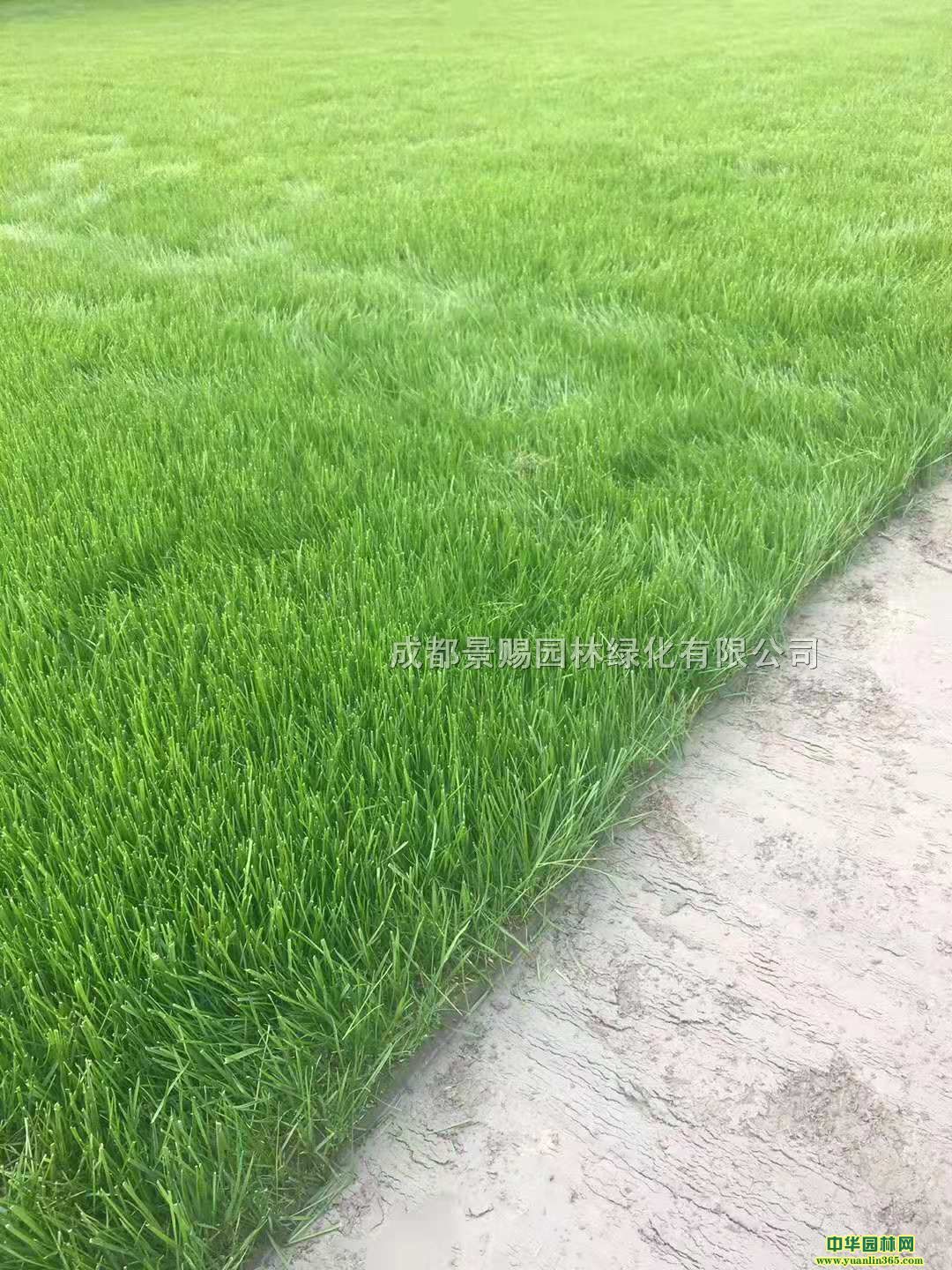 첥ƺԴl(f)ƺ؃r(ji)